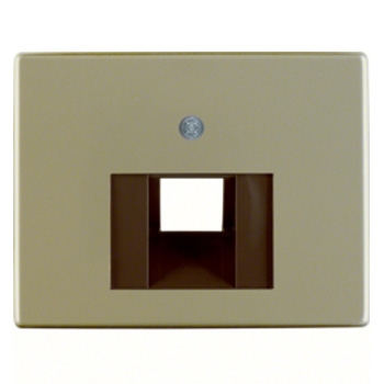 Aluminium lichtbrons gelakt