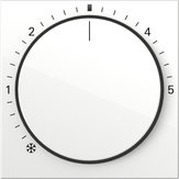 Afdekkingen ruimte temperatuurregelaar