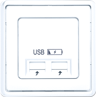 Centraalplaten