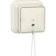 Gira 314610 Trekschakelaar 10AX 250V met montageplaat en adapter K/P25 Universele uit-wisselschakelaar Creme wit