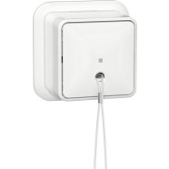 Gira 314611 Trekschakelaar 10AX 250V met montageplaat en adapter K/P25 Universele uit-wisselschakelaar Zuiver wit