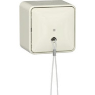 Gira 314612 Trekschakelaar 10AX 250V met interne montageplaat Universele uit-wisselschakelaar Crème wit