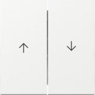 Gira 329403 Systeem 55 Wip 2-voudig met pijlsymbool Zuiver wit glanzend