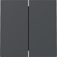Gira 329528 Systeem 55 Wip 2-voudig Antraciet 