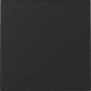 Gira 3296005 Systeem 55 Wip Zwart mat