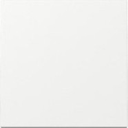 Gira 329603 Systeem 55 Wip Zuiver wit glanzend