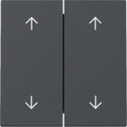 Gira 329728 Systeem 55 Wip 2-voudig met pijlsymbool Antraciet