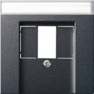 Gira 087628 Afdekplaat voor USB met tekstkader