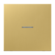 Jung FM ME 1700 C eNet taster Standaard 1-voudig Messing Klassiek