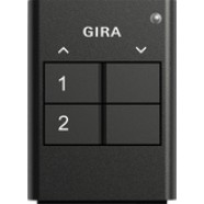 Gira 535210 eNet Draadloze handzender tweevoudig