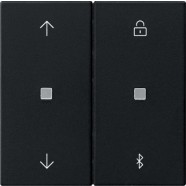 5367005