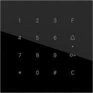 Gira 5550000 System 106 Keyless In codeklaviermodule Glas zwart 