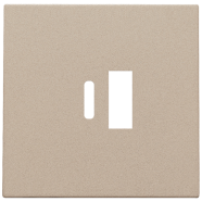 Niko 157-68002 Afwerkingsset voor dubbele smart USB-A en USB-C-lader Champagne