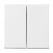 Busch-Jaeger 2505-914