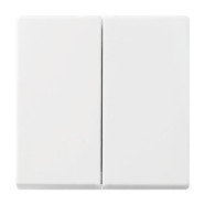 Busch Jaeger 6736 FoH-914