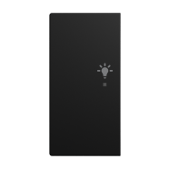 Busch-Jaeger 6231-21-915