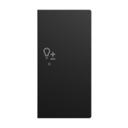 Busch-Jaeger 6234-22-915