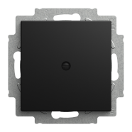 Busch-Jaeger 2538-915 Busch-balance SI Blinde centraalplaat met draagring Zwart mat