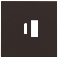 Niko 124-68002 Afwerkingsset voor dubbele smart USB-A en USB-C-lader Dark brown