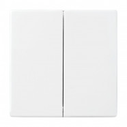 Busch Jaeger 6736 FoH-84 Bedieningswip 2-voudig voor serie Platform 63 Future linear Studiowit 