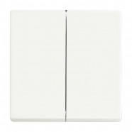 Busch Jaeger 6736 FoH-884 Bedieningswip 2-voudig voor serie Platform 63 Future linear Studiowit mat 