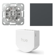 Gira Wipdrukcontact met Hue bedrade dimmer en Rechtstaande wip Antraciet