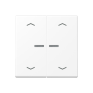 Jung A 102 KO5P BF WWM F10 Schakelwip met lens en pijlsymbolen voor taster 2-voudig Sneeuwwit mat