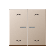 Jung A 102 KO5P CH F10 Schakelwip met lens en pijlsymbolen voor taster 2-voudig Champagne