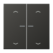 Jung AL 102 KO5P AN F10 Schakelwip met lens en pijlsymbolen voor taster 2-voudig Antraciet