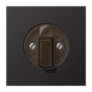 Jung AL 1941 D Afdekking voor draaischakelaars Dark (Aluminium gelakt)