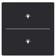 Busch Jaeger LFBT/A.2.63.11-885 Future Linear Afdekking 2-voudig voor keypad met symbool “Verlichting” Zwart mat
