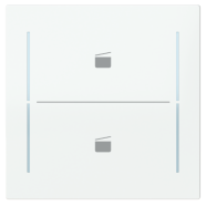 Busch Jaeger LFST/A.2.70.11-44G Busch-art linear Afdekking 2-voudig wip voor keypad met symbool “Scene" Studiowit