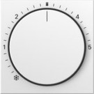 Gira 270227 System 55 Afdekking voor ruimte temperatuurregelaar met controlelicht Zuiver wit mat