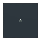 Busch-Jaeger 2138-35 blinde centraalplaat met draagring Antraciet 