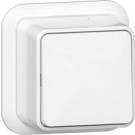 Gira 310711 Opbouw Wipschakelaar 10 AX 250 V~ met montageplaat en adapter K/P25 Kruisschakelaar Zuiver wit