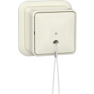 Gira 314610 Trekschakelaar 10AX 250V met montageplaat en adapter K/P25 Universele uit-wisselschakelaar Creme wit