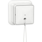 Gira 314611 Trekschakelaar 10AX 250V met montageplaat en adapter K/P25 Universele uit-wisselschakelaar Zuiver wit