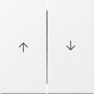 Gira 329403 Systeem 55 Wip 2-voudig met pijlsymbool Zuiver wit glanzend