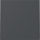 Gira 329628 Systeem 55 Wip Antraciet