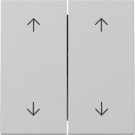 Gira 3294015 Systeem 55 Wip 2-voudig met pijlsymbool Grijs mat 