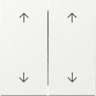 Gira 329703 Systeem 55 Wip 2-voudig met pijlsymbool Zuiver wit glanzend