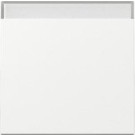 Gira 329903 Systeem 55 Wip met tekstkader Zuiver wit glanzend