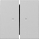 Gira 3631015 Systeem 55 Wip 2-voudig met controlevenster Grijs mat 