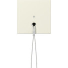 Gira 363801 Afdekking met controlevenster voor trekschakelaar t.b.v. Gira 358600 & Gira 354600 Creme wit glanzend 