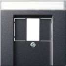 Gira 087628 Afdekplaat voor USB met tekstkader