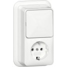 Gira 417611 Opbouw Combinatie wipschakelaar/ wandcontactdoos met randaarde 16 A 250 V~ 