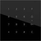 Gira 5550000 System 106 Keyless In codeklaviermodule Glas zwart 