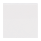 Busch-Jaeger 2506-914