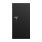 Busch-Jaeger 6231-22-915