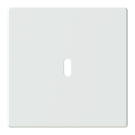 Busch Jaeger 6479-84 Platform 63 Centraalplaat USB voeding 1-voudig Studiowit mat